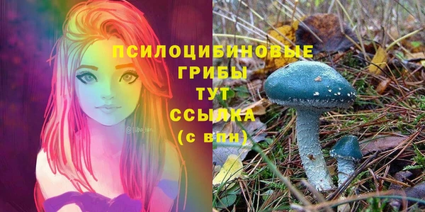 mdpv Нефтекумск