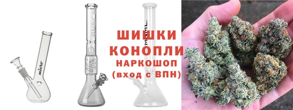 трава Надым