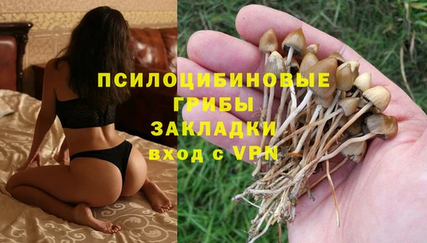 трава Бежецк